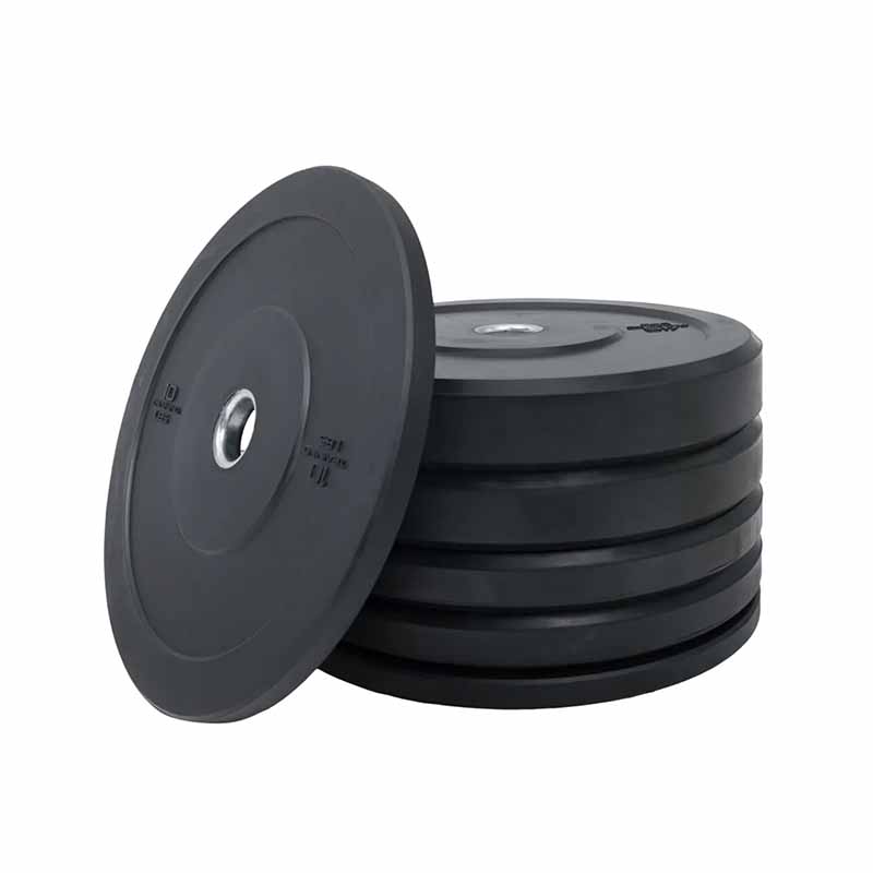 Plaque de pare-chocs olympique Northern Lights 10 lb - Fitness Dépôt +