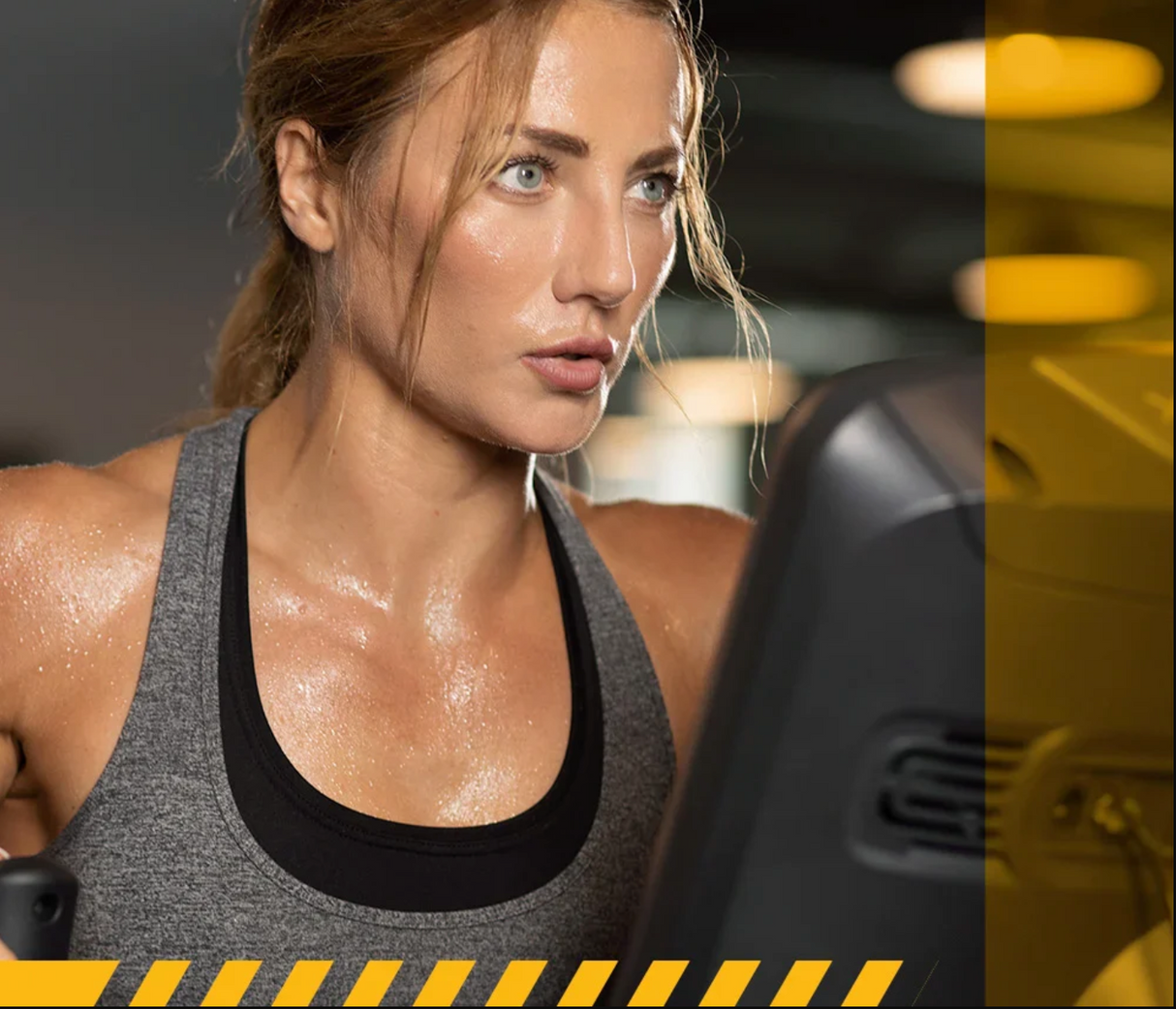 Tapis de course Horizon 7.8 AT