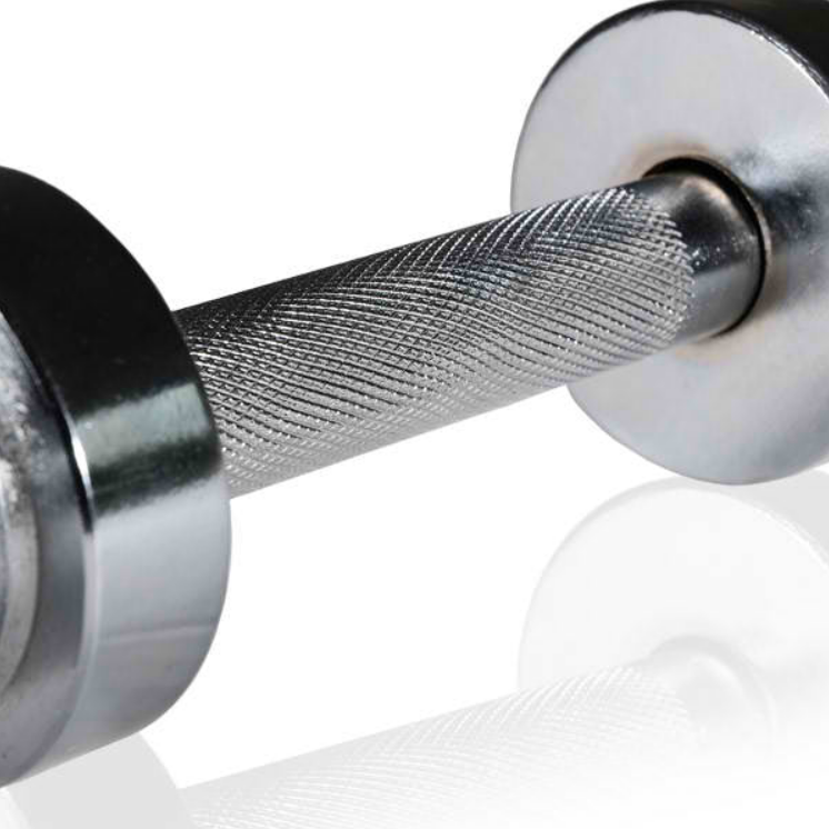 Element Fitness OB-20 Single Handle Dumbbell