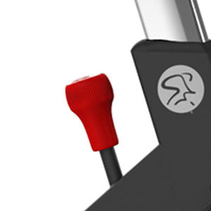 Connected L3 Spinning