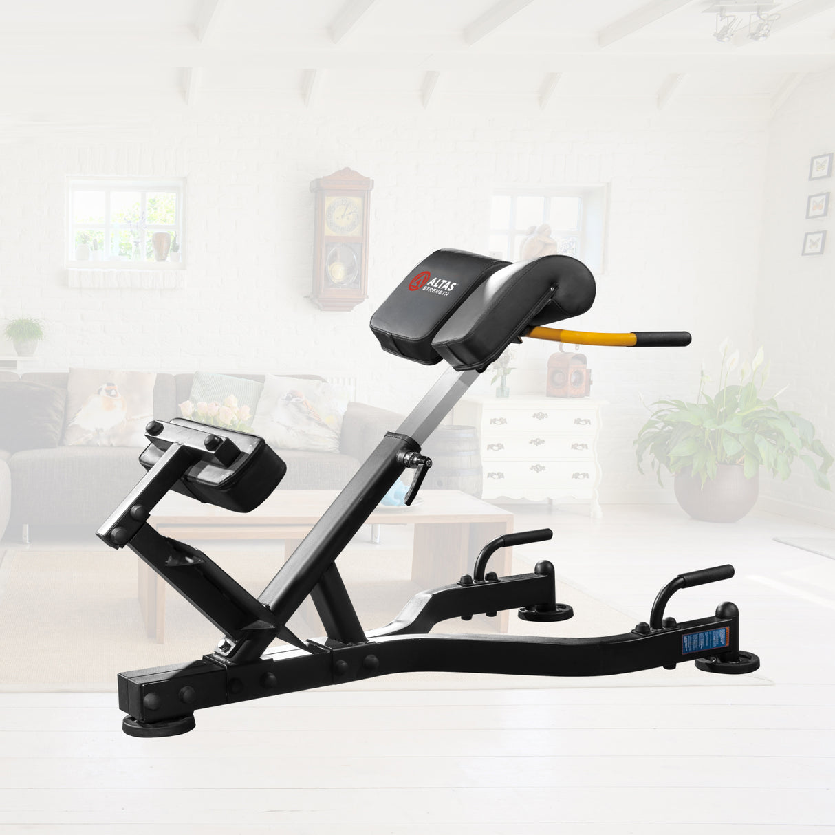 Home Gym Equipment Rome Chair Al-3037