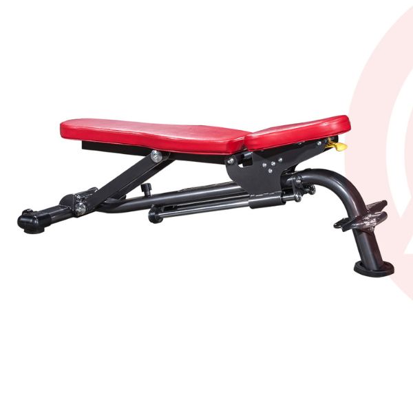Banc d'entraînement réglable Home Gym Al-4005