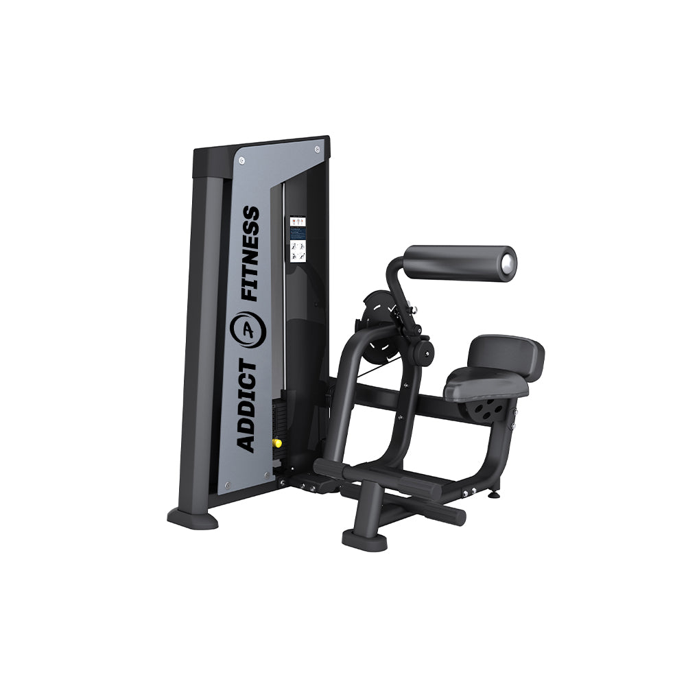 Abdominal and Back Extension V2 Selective Machine