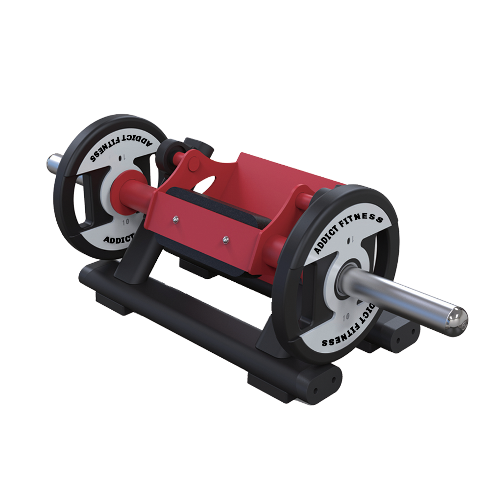 Plate Loaded Tibia Dorsi