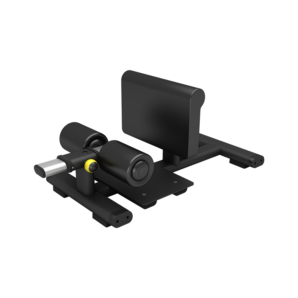 Addict fitness Sissy Squat