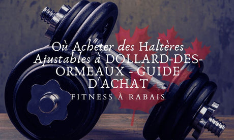 Où Acheter des Haltères Ajustables à DOLLARD-DES-ORMEAUX - GUIDE D'ACHAT