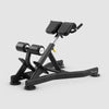 Vision Fitness - Banc d'extension dorsale FW52