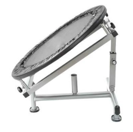 Medicine ball trampoline