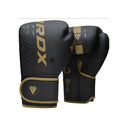 GANTS DE BOXE F6 NOIR MAT