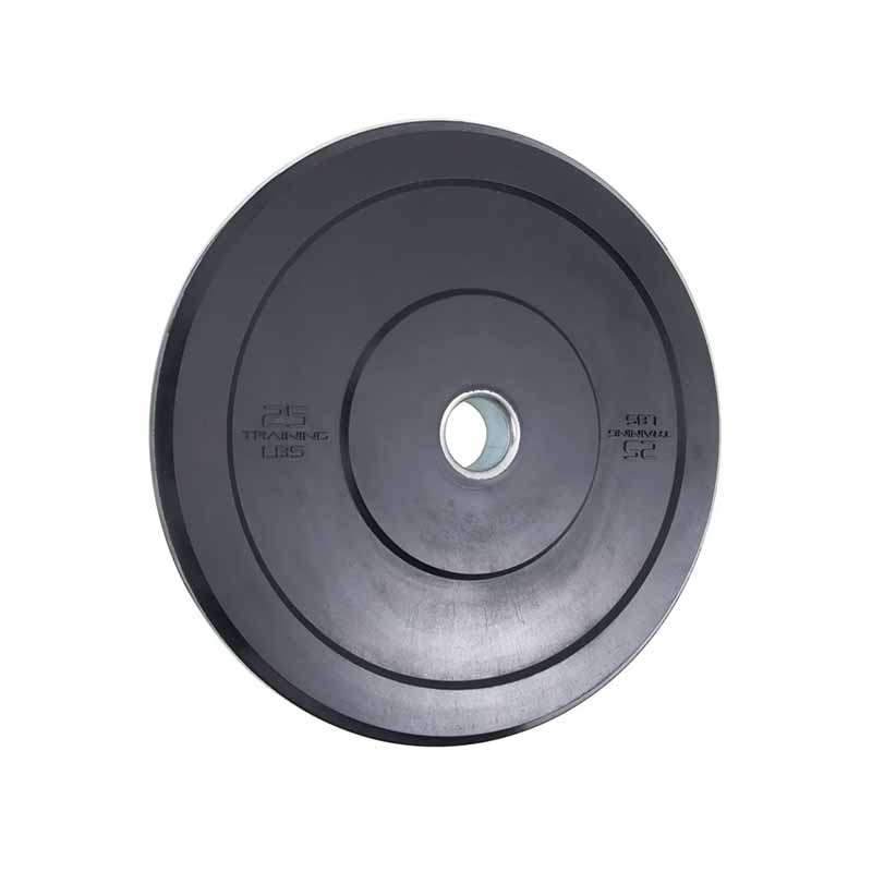 Plaque de pare-chocs olympique Northern Lights de 25 lb - Fitness Dépôt +
