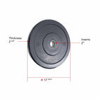Plaque de pare-chocs olympique Northern Lights de 35 lb - Fitness Dépôt +