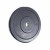 Plaque de pare-chocs olympique Northern Lights de 35 lb - Fitness Dépôt +