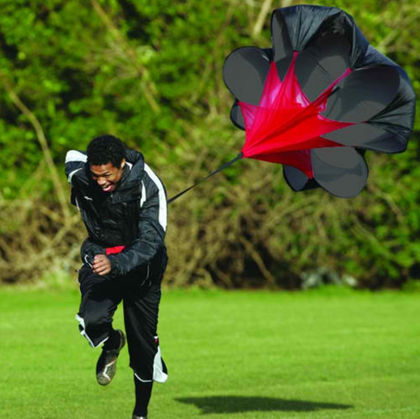 Traîneaux