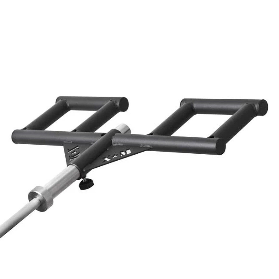 <tc>VIKING DOUBLE HANDLE 2" XM FITNESS</tc>