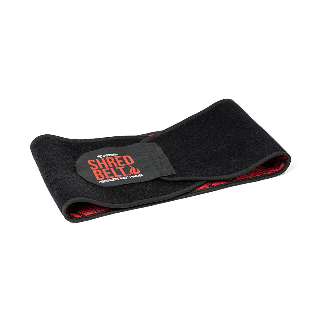 Shred Belt V2 - L - Fitness Dépôt +