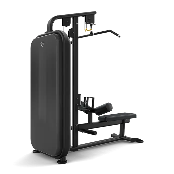 Vision Lat Pulldown / Rowing assis S331