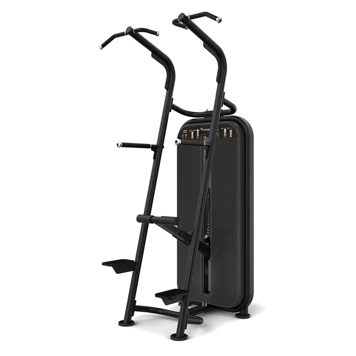 Chin/Dip Assist Vision Fitness S601