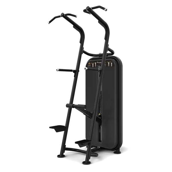 Chin/Dip Assist Vision Fitness S601