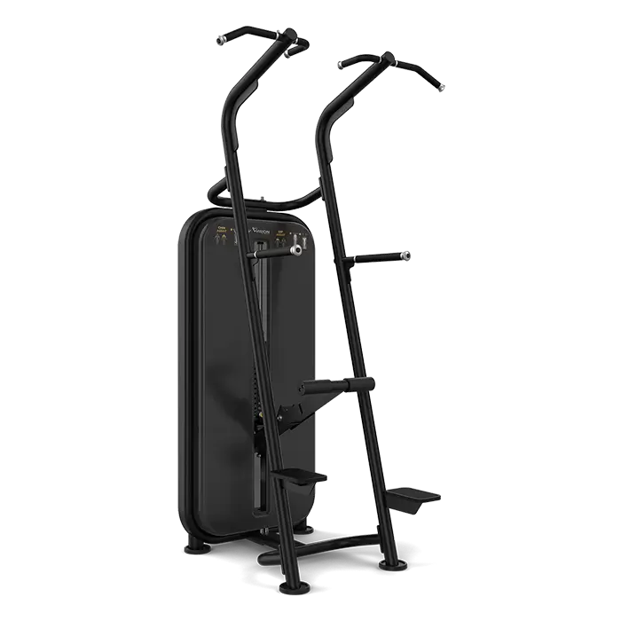 Chin/Dip Assist Vision Fitness S601