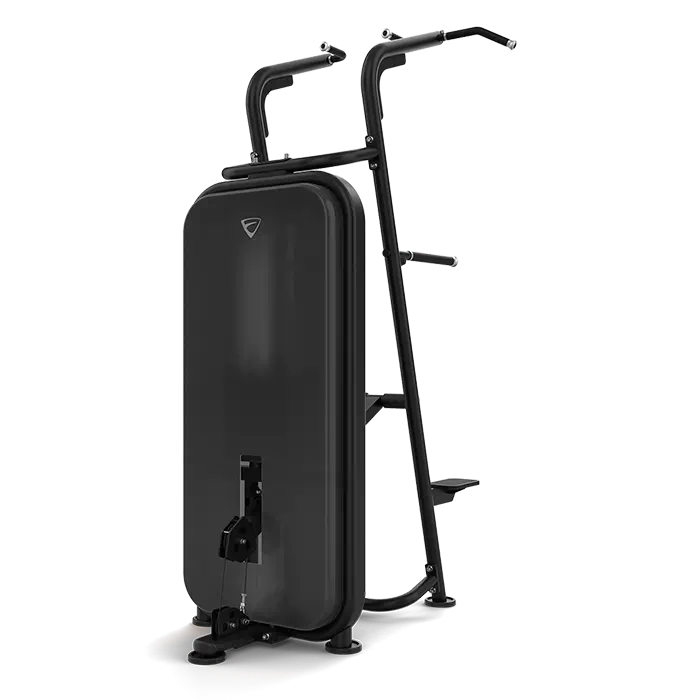 Chin/Dip Assist Vision Fitness S601
