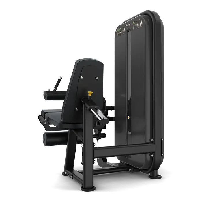 Vision Fitness - Leg Extension / Leg Flexion S711
