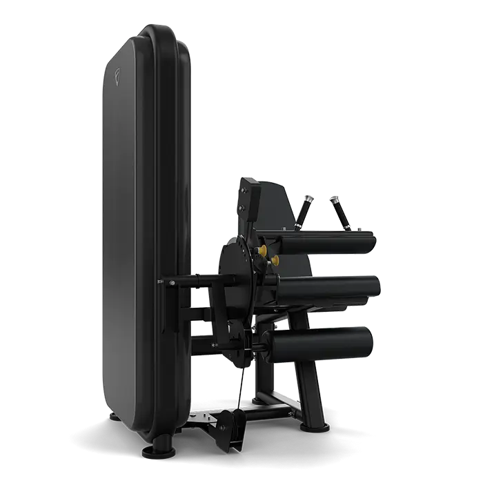 Vision Fitness - Leg Extension / Leg Flexion S711