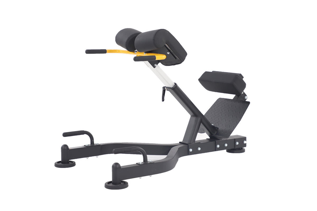 Home Gym Equipment Roman Chair AL-3037