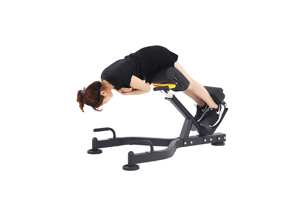 Home Gym Equipment Roman Chair AL-3037