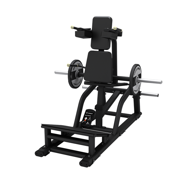Plated Loaded Goods V – Squat