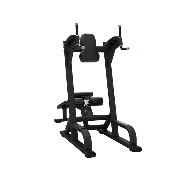 Abdominal Machine and Knee Raises/Dives