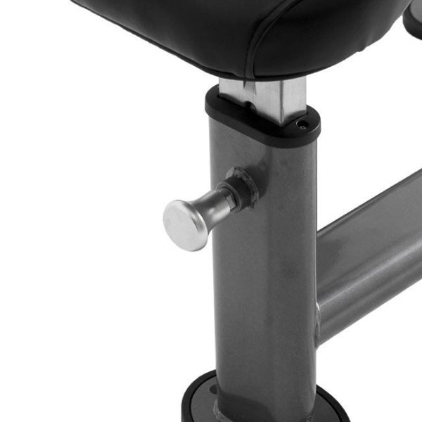 Element Fitness Preacher Curl Bench